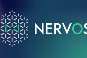 Nervos ICO