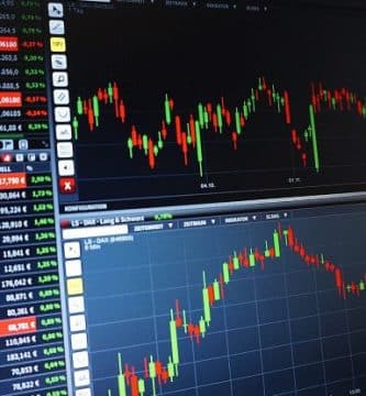 Tipos de Inversores y Psicologia de Criptomonedas