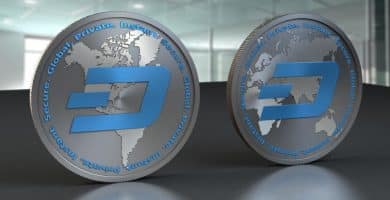Dash Adopción Negocios 3000
