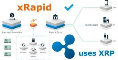 xrapid ripple jefe de operaciones deja