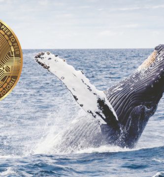 Bitcoin BTC ballenas 6500