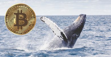 Bitcoin BTC ballenas 6500