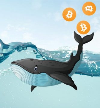 Bitcoin ballenas mueven 536 millones BTC