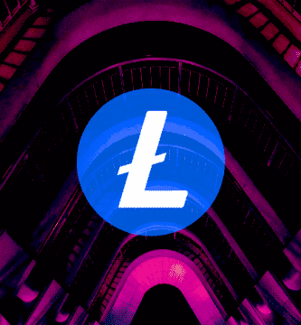 Litecoin LTC Flexa