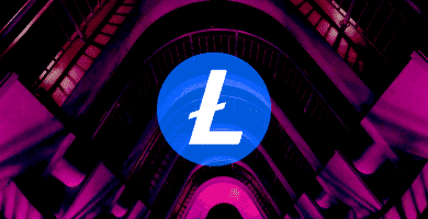 Litecoin LTC Flexa