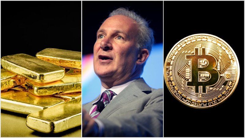 Peter Schiff Pompliano Bitcoin BTC