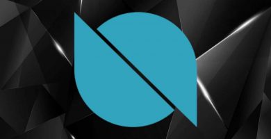 STP Network Ontology ONT inversión estratégica